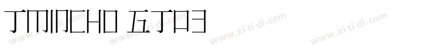 TMincho GT03字体转换